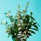 Faux Spiral Eucalyptus Spray