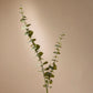 Faux Spiral Eucalyptus Spray