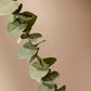 Faux Spiral Eucalyptus Spray