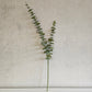 Faux Spiral Eucalyptus Spray