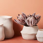 Fold Pot