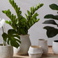 Fold Pot