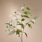 Faux Eucalyptus Stem